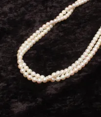 ロングネックレス SV パール 6.0-6.5mm レディース