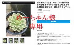 めーちゃん様 専用 佐川で発送 - メルカリ