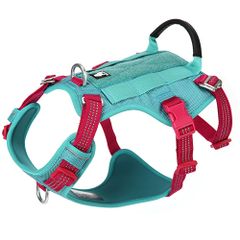 Item thumbnail for item b1fd0c94-6a6d-42c3-aa50-5e3c03333bef