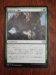 伝染する一噛み ファイレクシア:完全なる統一 日本語版