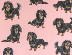 【ゆきちゃん限定】X2547 ミニチュアダックス ブラックタン ピンク 1m