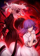 극장판 [Fate/stay night [Heaven's Feel] II.lost butterfly](통상판) [D(중고품)