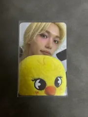 Stray Kids(ストレイキッズ・スキズ・SKZ) SKZ celebrate ポップアップ 4万円 特典 フィリックス(FELIX・ヨンボク)