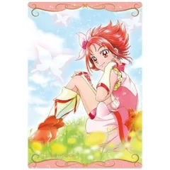 プリキュア　カードウエハース No.19 キュアルージュ N