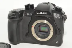 【動作確認済み】Panasonic LUMIX GH5 本体 現状品／ジャンク 動作確認済み】Panasonic LUMIX GH5 本体 現状品／ジャンク 動作確認