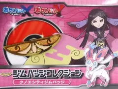 2026年最新】ポケモン ジムバッジコレクションの人気アイテム - メルカリ