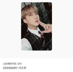 Stray Kids(ストレイキッズ・スキズ・SKZ) スキズ チャンビン(CHANGBIN) ODDINARY YIZHIYU 一直娱