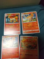 ポケモンカード　ギャロップ　まとめ処分s-146