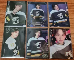 2025 SEVENTEEN(セブンティーン・セブチ) HOME トレカ まとめ売り(ディノ)