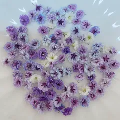 パープル系 かすみ草ドライフラワー100粒