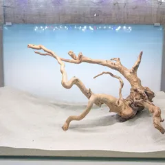 2025年最新】ADA 流木、の人気アイテム - メルカリ