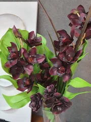 最終お値下げ　美品　エミリオロバ　薔薇＆多肉植物　２個セット 最終お値下げ 美品 エミリオロバ 薔薇＆多肉植物 2個セット