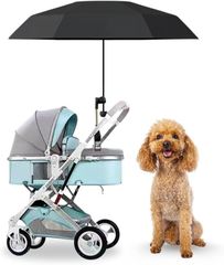 Item thumbnail for item c3bb30cb-d530-4c0c-b025-8ac94fbdda2a