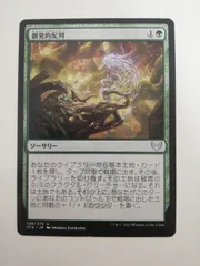 2026年最新】ストリクスヘイヴンの人気アイテム - メルカリ