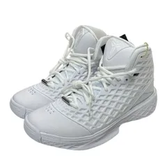 NIKE Kobe 3 Protro Halo コービー3 プロトロ ヘイロー スニーカー HM4351-100 8071000167941