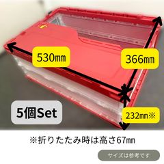 サンコー 折りたたみコンテナ 75L 窓付き オリコン 収納 3個セット 大