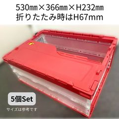 サンコー 折りたたみコンテナ 75L 窓付き オリコン 収納 3個セット 大