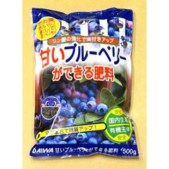 農薬・肥料不使用】山口県産 冷凍ブルーベリー 500g ハイブッシュ系