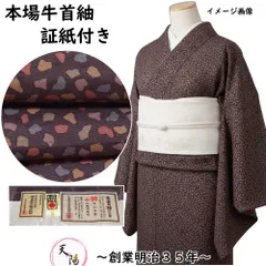 本場牛首紬 破れ色紙散らし模様 白山工房 証紙付き 牛首紬 Sサイズ 【送料無料 中古 リサイクル着物 紬 うしくび 牛首 伝統的工芸品 指定無形文化財 正絹 着物 】のサムネイル