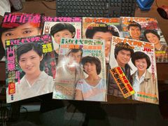 講談社】山口百恵「赤いシリーズ」DVDマガジンvol.29~38(赤い衝撃全話