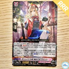 RaiZ:BlaZ クーラント FR 1枚 - メルカリ
