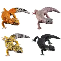 2025年最新】トカゲモドキ ガチャの人気アイテム - メルカリ