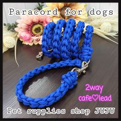 Item thumbnail for item fd5bfbcc-ec0d-4a80-922c-70d4a6436d45