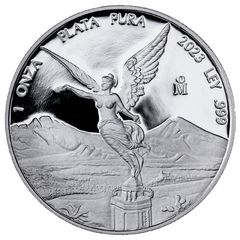 2002年 1オンス 銀貨 天使像 メキシコ - メルカリ