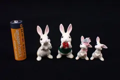 2026年最新】ヘイゲンリネカーの人気アイテム - メルカリ