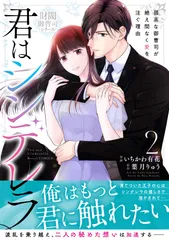 君はシンデレラ～孤高な御曹司が絶え間なく愛を注ぐ理由～ 2/スタ-ツ出版/いちかわ有花（コミック）