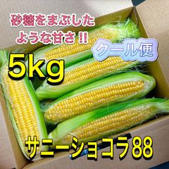 沖縄産 フレッシュナツメ 約500g SUN FRUITS - メルカリ