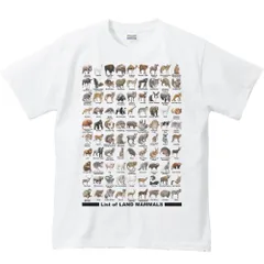 《新品・送料無料》陸上 哺乳類のリスト/半袖Tシャツ/白/メンズSサイズ/中厚《MYDS》