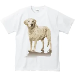 《新品・送料無料》ラブラドールレトリバー（ペイントタッチ）／半袖Tシャツ／白／メンズＳサイズ／中厚《MYDS》