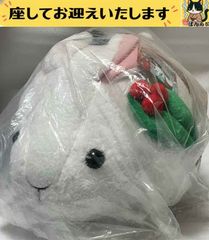 e++デジモンアドベンチャー++ 八神ヒカリ ぬいぐるみ - メルカリ