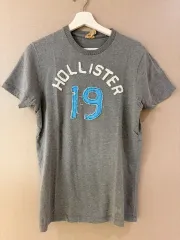 ホリスター 半袖 Tシャツ 19 プリンティング m