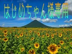 はじめちゃん専用