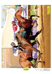 ■『2026カレンダー  報知競馬』■です。