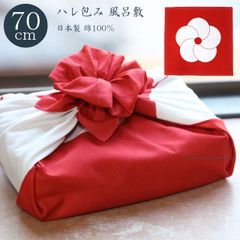 Item thumbnail for item 3a44eb9b-dbaa-42b6-8dff-63212efeade7