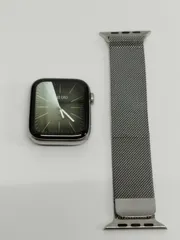 Apple Watch Series 4/GPS+セルラー/44mm/A2008/シルバーステンレス〈MTX12J/A〉 (1)