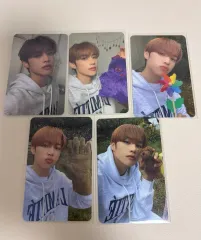 THE BOYZ(ザ・ボーイズ・ドボイズ) ソヌ(SUNWOO) ドビ 5期 トレカ