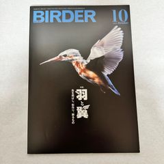 BIRDER 2024年1月号 野鳥撮影の最新トレンド 付録なし - メルカリ