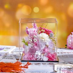 NM様 専用 - メルカリ