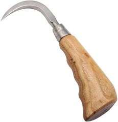 Item thumbnail for item c823f413-2095-458d-bd13-f730ba4dcf74