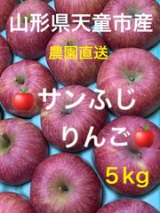 山形県産🍎サンふじりんご🍎5kg
