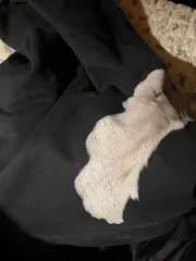 イージー ギャップ バレンシアガ ドーブ WHO フード ウォッシュドブラック xl