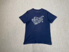 パタゴニア USA オーガニック コットン 半袖Tシャツ J03522