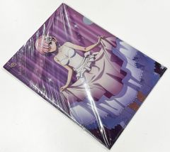 레그스 Fate/Grand Order 3장 세트 절대 마수 전선 바빌로니아 클리어 파일