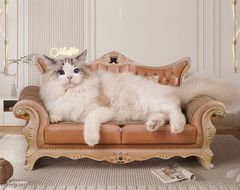 Item thumbnail for item e1fd85cb-0a02-4666-9e94-7b8ef7b172ef