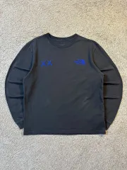 M レア) THE NORTH FACE ザノースフェイス × KAWS カウズ ロングスリーブ Tシャツ アスファルト グレー