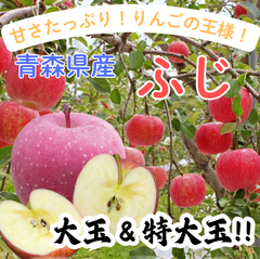 ★期間限定★青森県産 ふじ りんご 大玉＆特大玉 6~8玉 ㊲